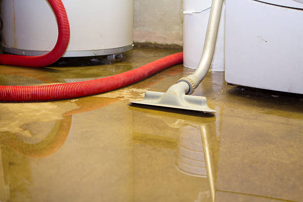 Best 24/7 water damage repair  in East Liverpool, OH