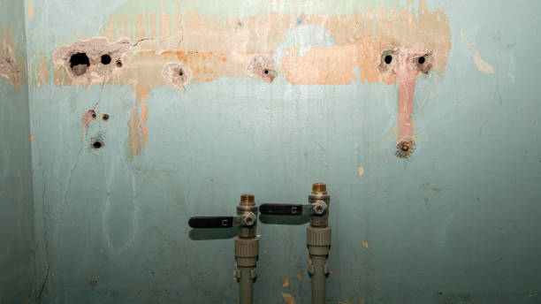 Best 24-hour water damage restoration  in East Liverpool, OH