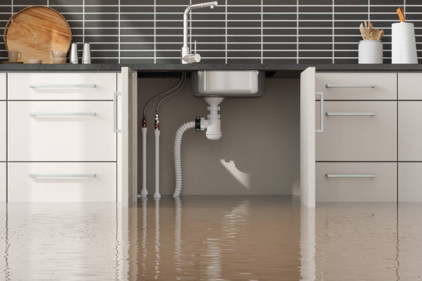 Best Flood restoration services  in East Liverpool, OH